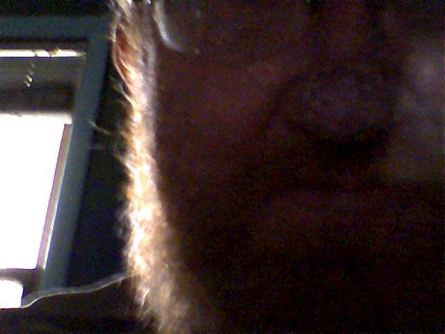 Date this cute United States man Driven7 from Union Grove US1759