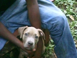 stunning United States man  from Detroit US4746