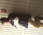 Date this exotic United States man Crip from Dallas US7414