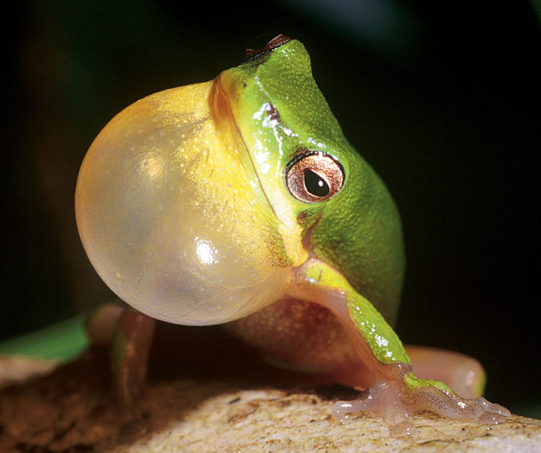 Date this exotic United States man Diggemsmack from Newyork US10488