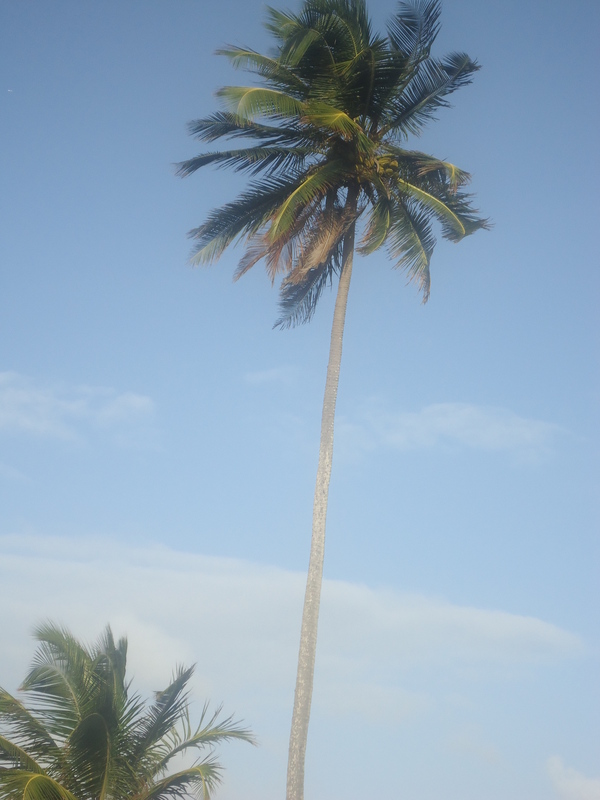 Date this stunning United States man Leocastro from Boston US11556