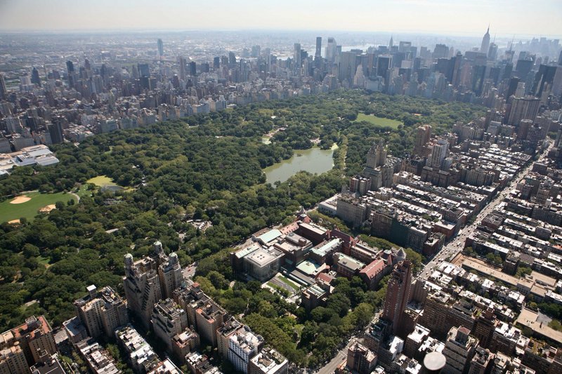 Date this stunning Dominican Republic man Raek from Santo Domingo DO10184