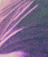 Date this georgeous Argentina girl Ayelen from Buenos Aires AR195